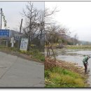 북부천변 이미지