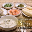 한국인의 밥상 bnt뉴스
