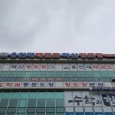 용인대 태권도 혁신 정도장 이미지