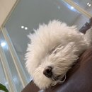 반포대로 110 | [일상] 2026년 3월 기록 - 1