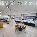 몽냥몽냥 강아지분양 고양이분양 송파점 | 송파구 고양이분양 추천 몽냥몽냥 강아지분양 송파점 / 가는길 위치 정보