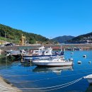 정곡선착장(정곡마을) Daum카페