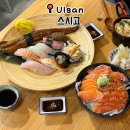 스시고 | 울산 중구 성남동 초밥 맛집, 연어덮밥 솔직후기 •스시고•