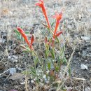 산속목장 이미지