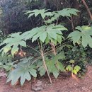 일주동로 이미지