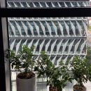 (주말) 서양화 이미지