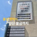 울산착한동물병원 이미지