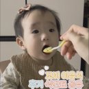 꼬비랑 | [공유] 꼬비이유식 후기식단표 👶🏻(45일 과정 / 죽 이유식 )