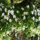 전원어린이집 이미지