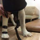 의수농장 이미지