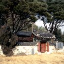 양씨삼강문 네이버블로그