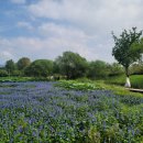 강마을공원 이미지