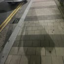 구남약국 | 2024 펜타포트락페스테벌 후기