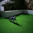 사계에반하다 2 이미지