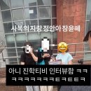 피티젠 | 한 해의 절반을 보내며..