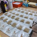 연희종로약국 이미지