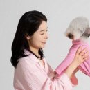 바이그루밍 이미지