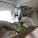 찰리호텔 이미지