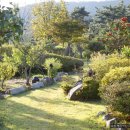 다정밥상 이미지