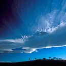 행복한 꽃 이미지