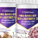 세모건담 네이버블로그