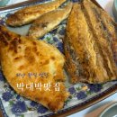 박*대