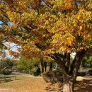 경상남도도청 이미지