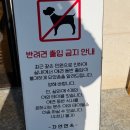 자연면옥 | 양양 동호해변 갈비탕 맛집, 현지인이 찾는 자연면옥 후기