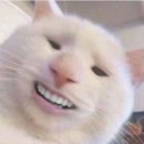 장수마을 풍천장어 이미지