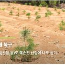 가든프로젝트(Garden Project)