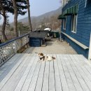 지베르니펜션2 이미지