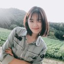 개꿀잼PC 이미지