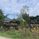 교수댁 민박 이미지