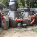 PRO당구장 이미지