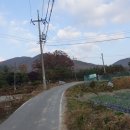 태수산