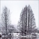 중앙탑길 이미지