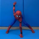 이은우 태권도장 이미지