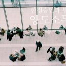 로오케이법률사무소