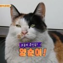 세기정보 이미지