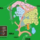 땅땅치킨가산수피아점 | 칠곡 가산수피아 캠핑장 시설 명당 사이트크기 빨간매점 내돈 내산 후기