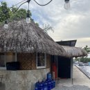 E안경하당점 | 23개월 아기랑 5박6일 필리핀 보홀 여행 DAY3. 아기랑 함께하는 프라이빗 호핑투어💚(발리카삭-버진...