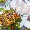 완도수산야채막회 이미지