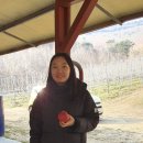 동방목장 이미지