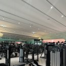 스파렉스 이미지