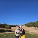 파인밸리 이미지