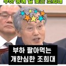 카드깡 왕!, "밑에 애들이 했어요" (빼박 영상에 도주한 조희대) 이미지