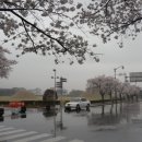 신라초등학교 이미지