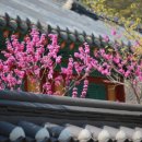 전통한지공예품만들기 이미지