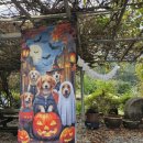 수예리오토캠핑장 이미지