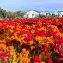 서부농업기술센터 이미지